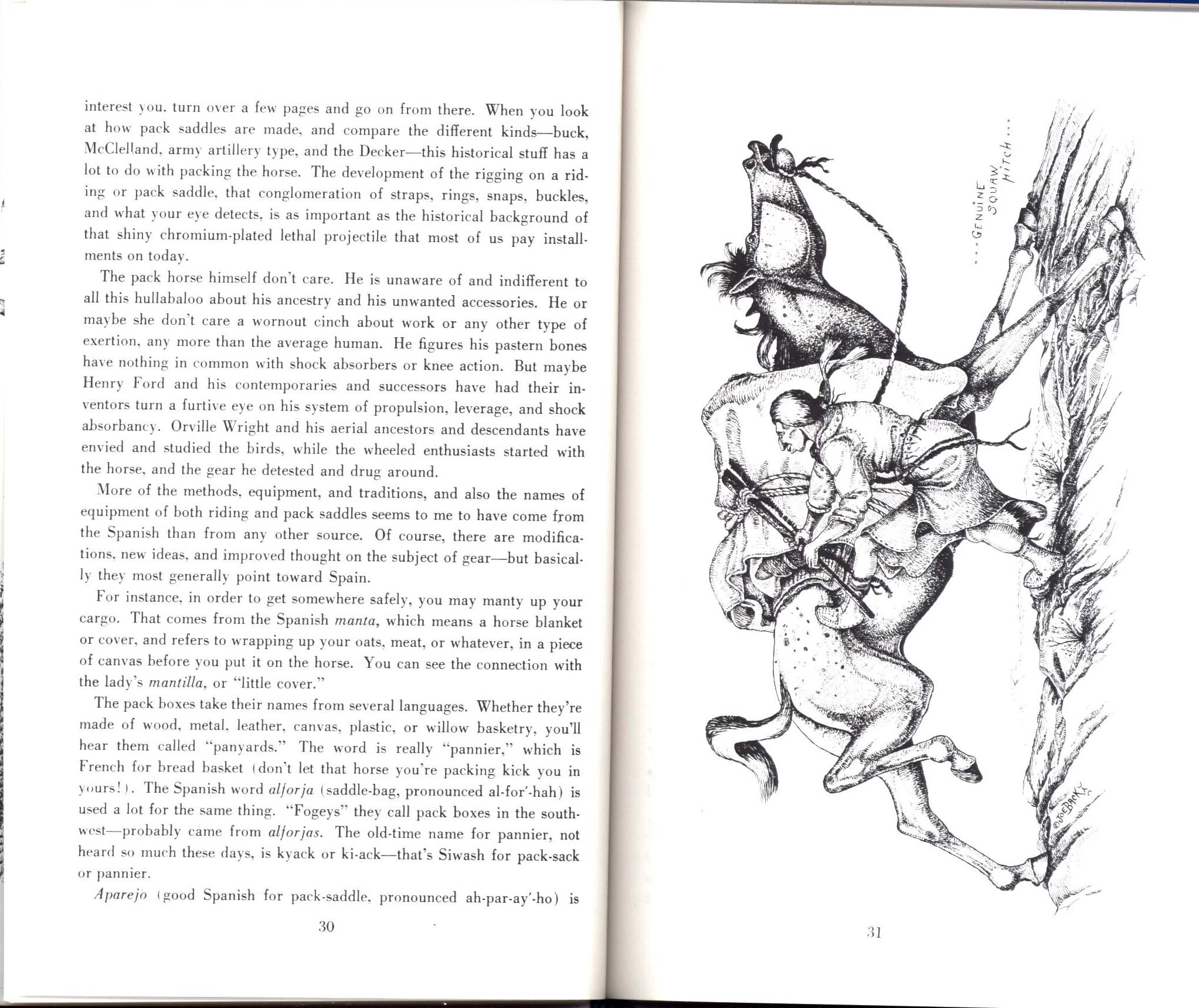 HORSES, HITCHES&nbsp;& ROCKY TRAILS: "the packer's bible". john1669f